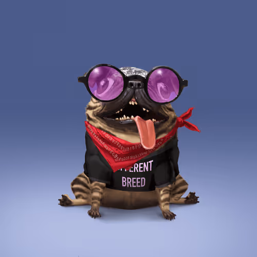 Odd Boi Official