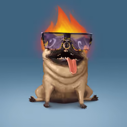 oDD BOi #880