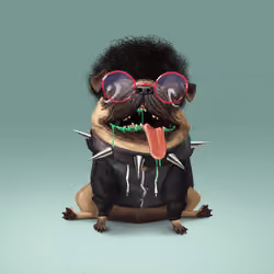oDD BOi #527