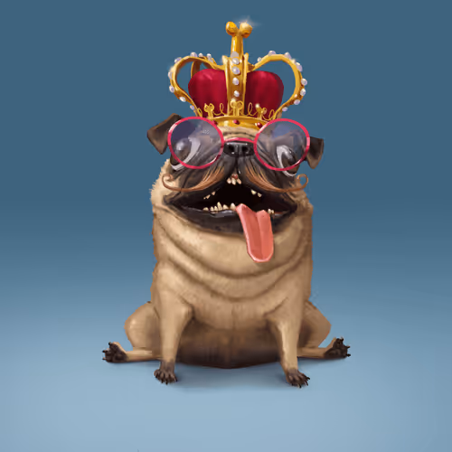 Odd Boi Official
