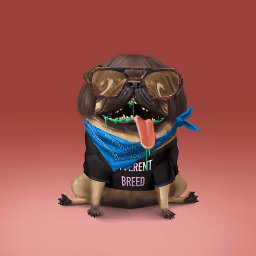 oDD BOi #76