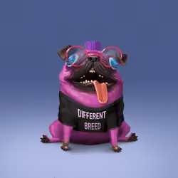 oDD BOi #650