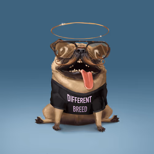 Odd Boi Official
