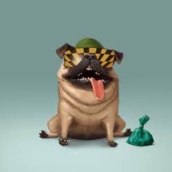 oDD BOi #889