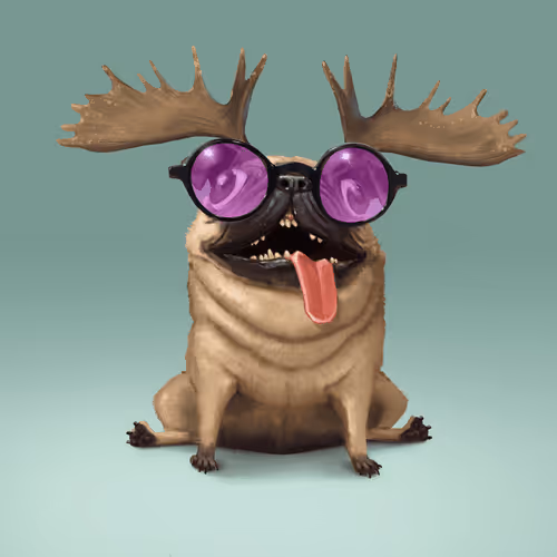 Odd Boi Official