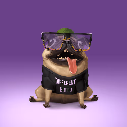 Odd Boi Official