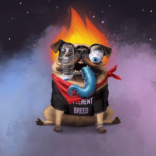 Odd Boi Official