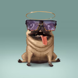 oDD BOi #433