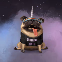 oDD BOi #612