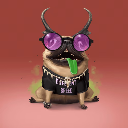 oDD BOi #495