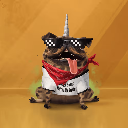 Odd Boi Official