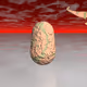 93013104840149369114158738356640406573638126194939776743279517690333647852344