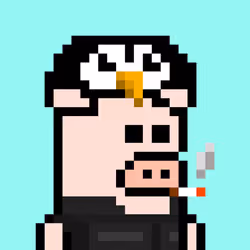 PIG #100
