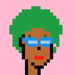 Wunks #342