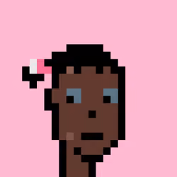 Wunks #3633