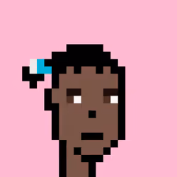 Wunks #5778