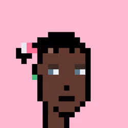 Wunks #5493