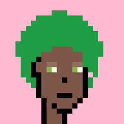 Wunks #5695
