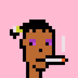 Wunks #4471