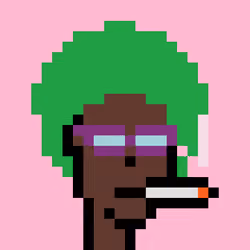 Wunks #5240