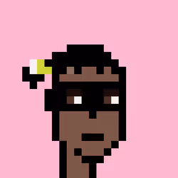 Wunks #4894