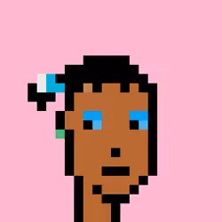Wunks #5131