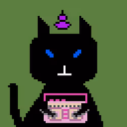 My Black Cat Club #10