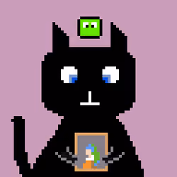My Black Cat Club #9