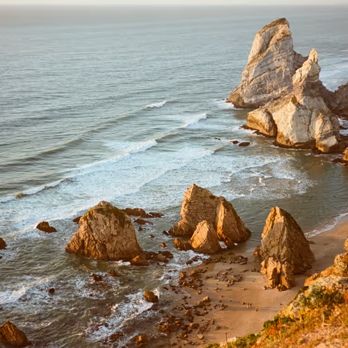 Voyage of the Visionary