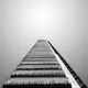 Look Up London