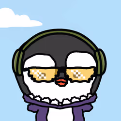 504