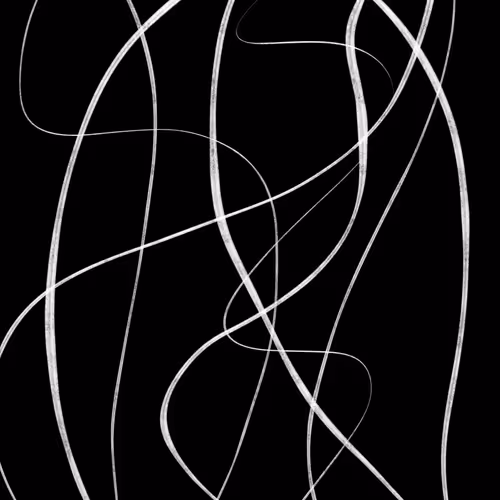 Item #8 Media
