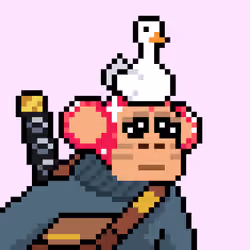 Tsutae