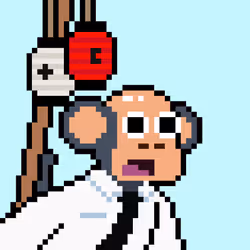 Wakoto
