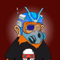 Seoul Ape #697