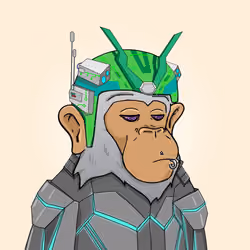 Seoul Ape #1147