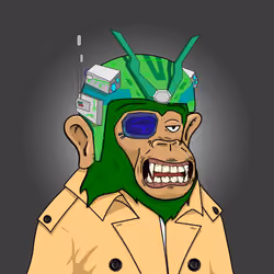 Seoul Ape #241