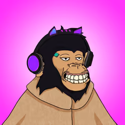 Seoul Ape #806