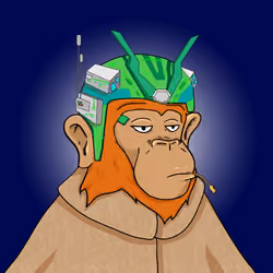Seoul Ape #1735