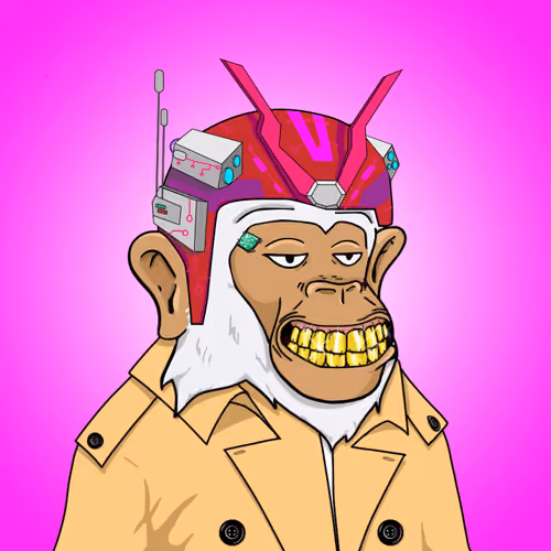Seoul Ape #1573