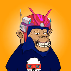 Seoul Ape #942