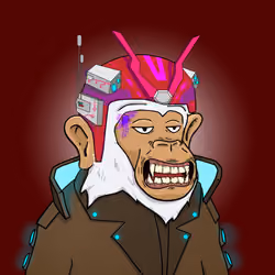 Seoul Ape #1668