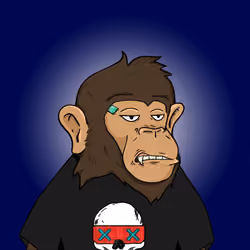 Seoul Ape #1070