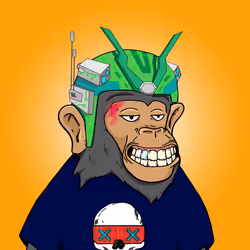 Seoul Ape #50