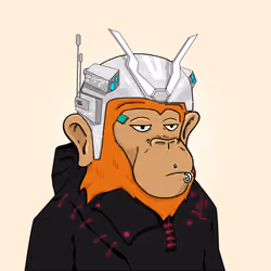 Seoul Ape #344