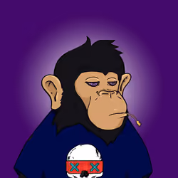 Seoul Ape #1353