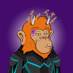 Seoul Ape #377