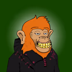 Seoul Ape #1734