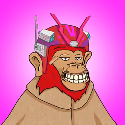Seoul Ape #1439