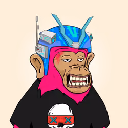 Seoul Ape #1284